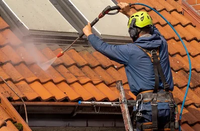 Démoussage et hydrofuge de toiture à Vergne
